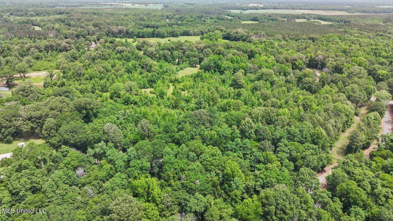 Pickens, MS 39146,869 B Parks Road