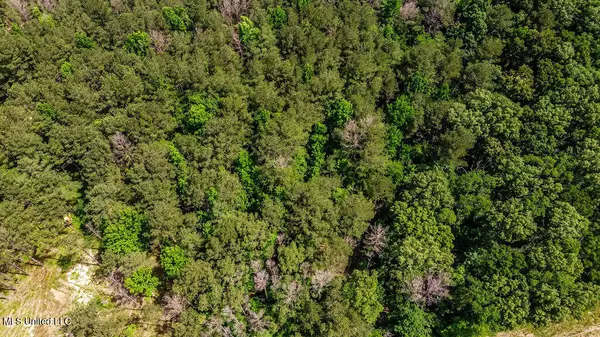 Brandon, MS 39047,0 Highway 25