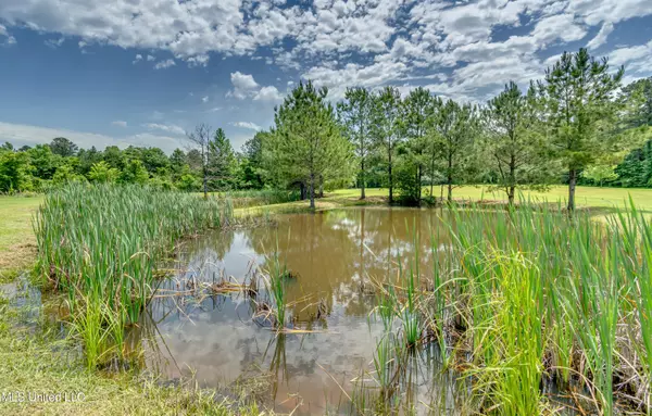 Florence, MS 39073,110 Spell Lane