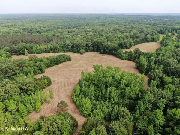 656 Sunset Drive, Coldwater, MS 38618