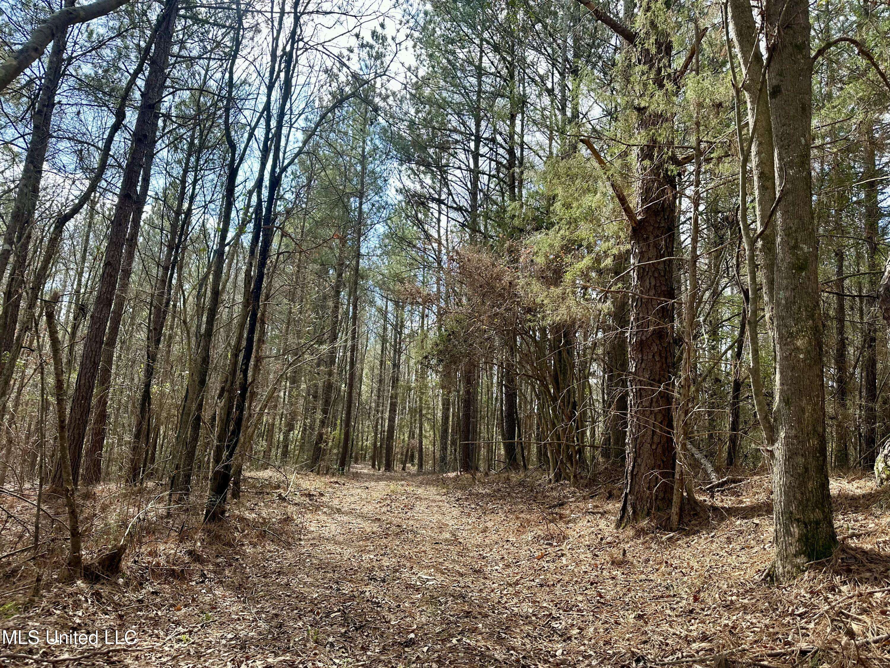 242 Dan George Rd Road, Mendenhall, MS 39114