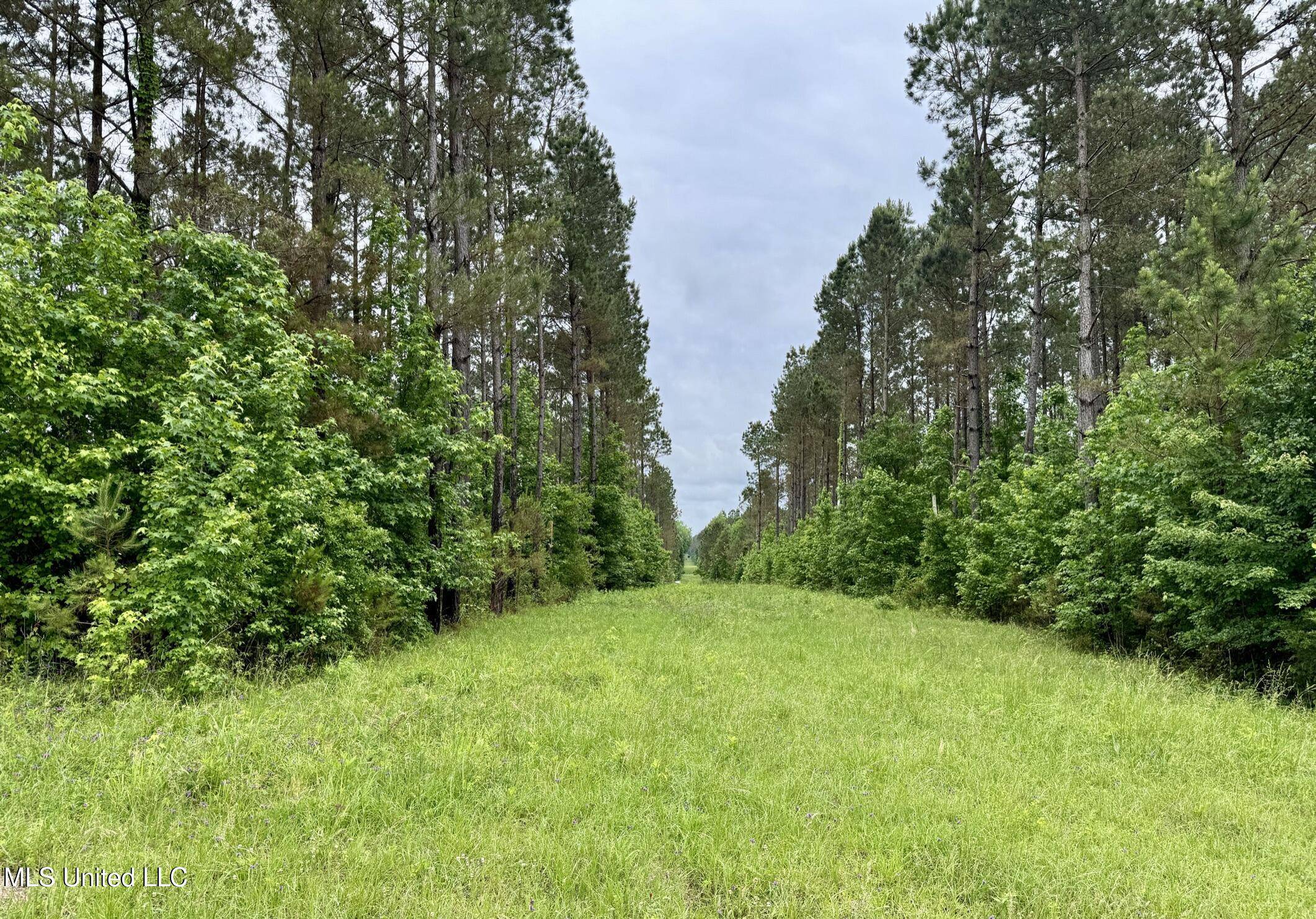 Daleville, MS 39326,20 Mount Carmel Road