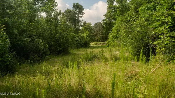 Toomsuba, MS 39364,0 Dixie School Highway