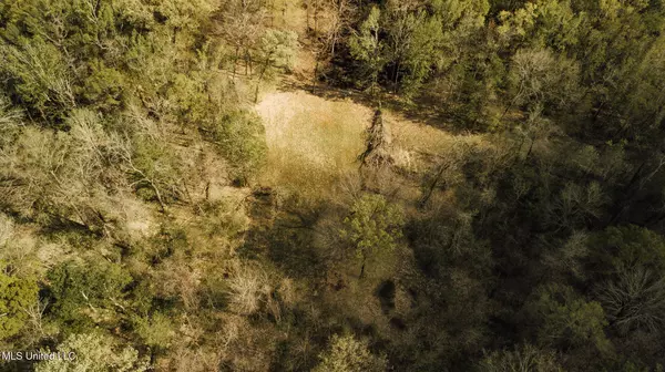 Poplarville, MS 39470,168 Adams Werner Road Road