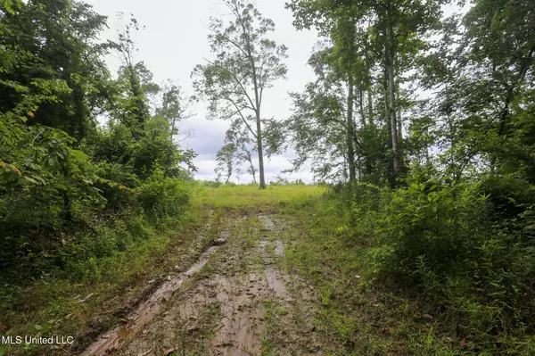 Gowall Road, Vicksburg, MS 39180