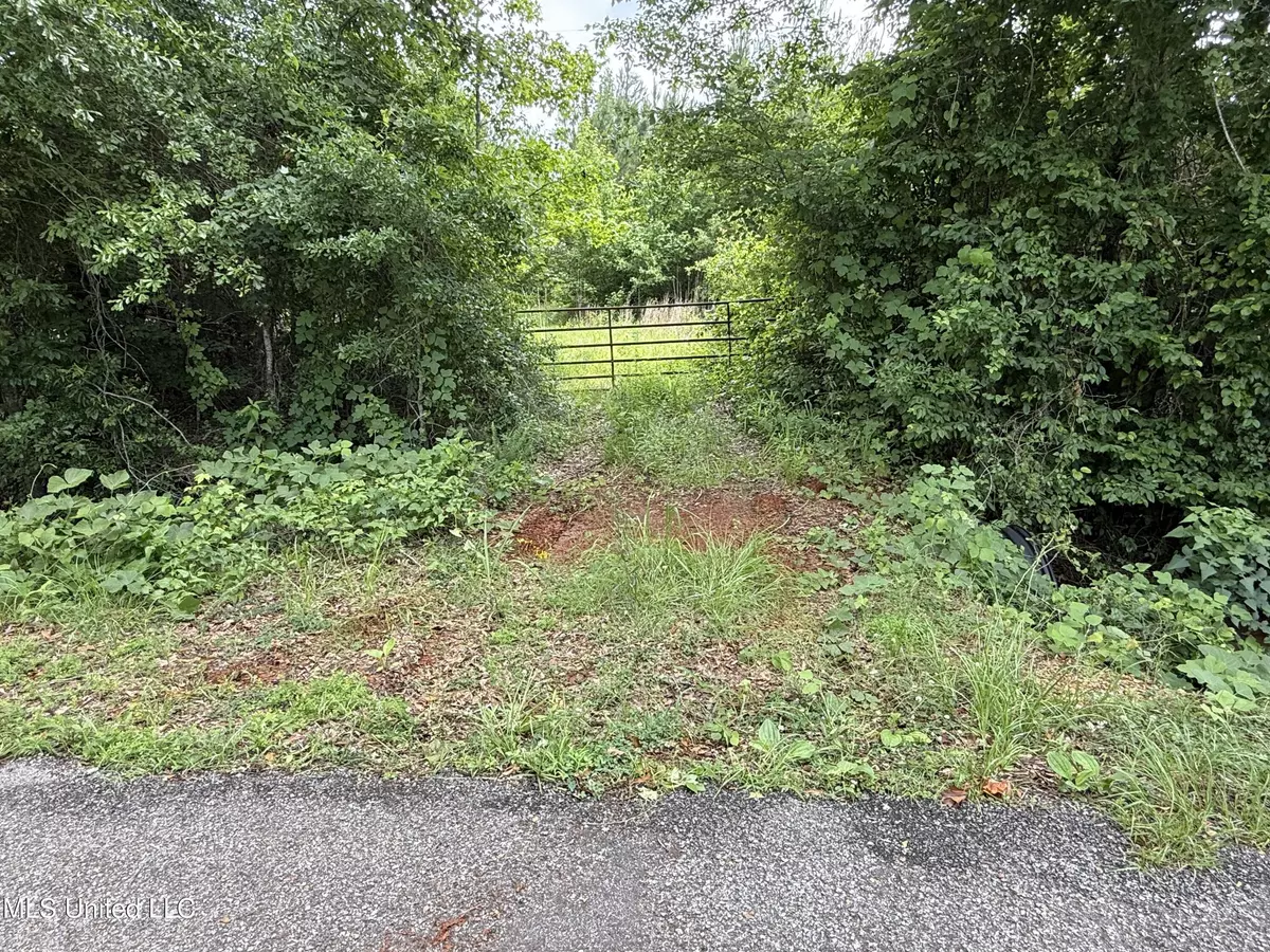 Little Rock, MS 39337,Mcneil Road Road