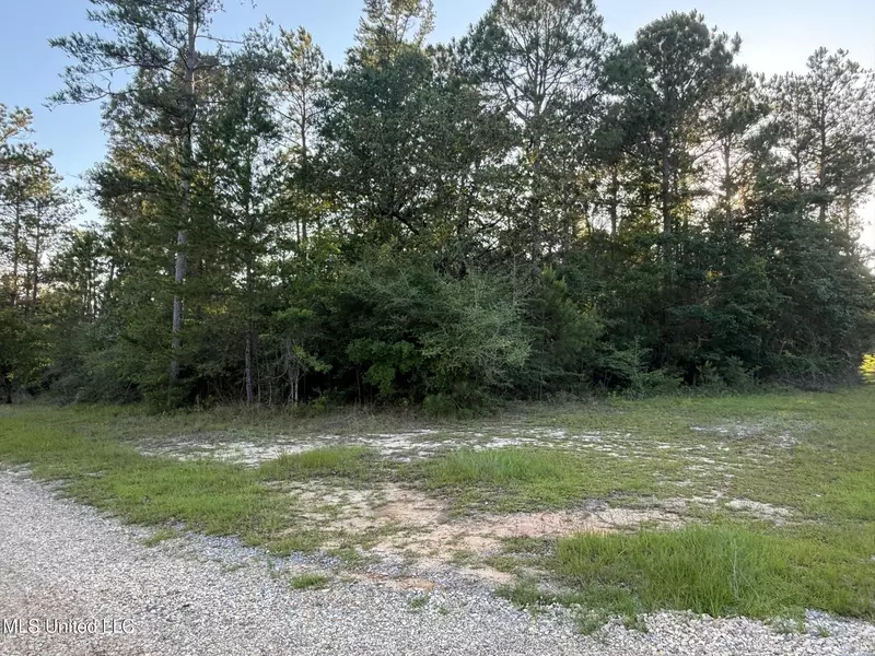 13 Burnt Pine Rd, Leakesville, MS 39451