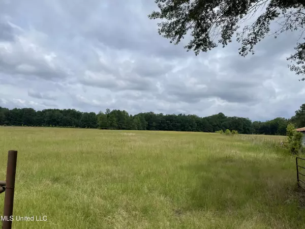 13 Ms-13, Morton, MS 39117