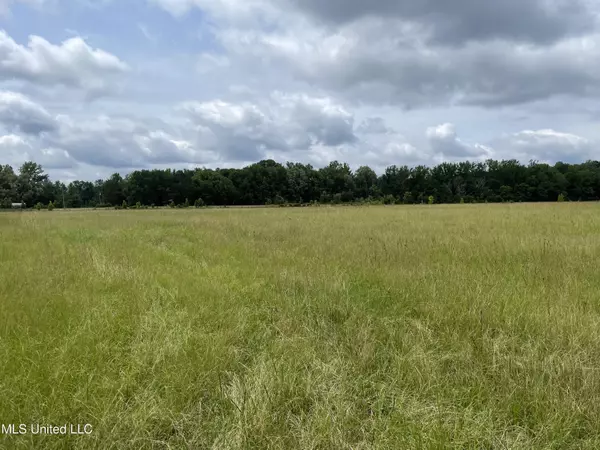 Morton, MS 39117,13 Ms-13