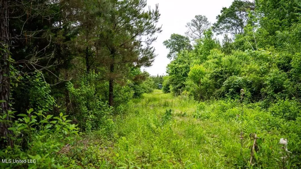 7400 Amon Hill Road, Bastrop, LA 71220