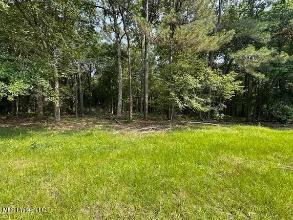 Florence, MS 39073,Star Road