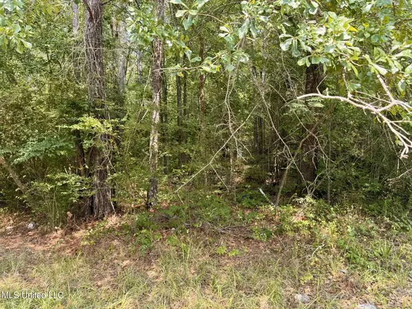 Camden, MS 39045,Hwy 43