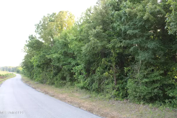 Ashland, MS 38603,999 Whites Crossing Road