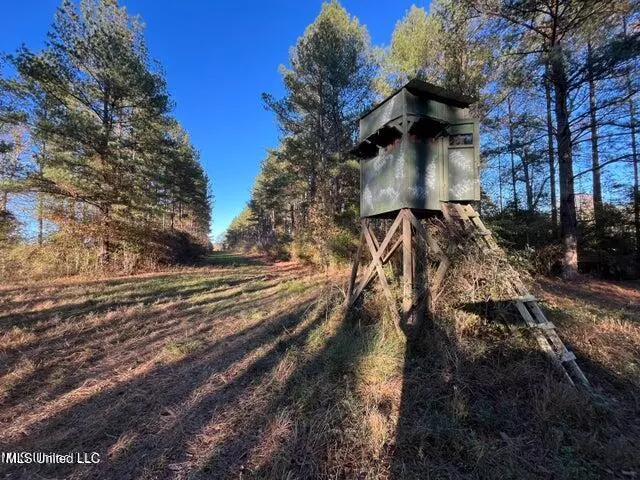 Hwy 11, Heidelberg, MS 39439