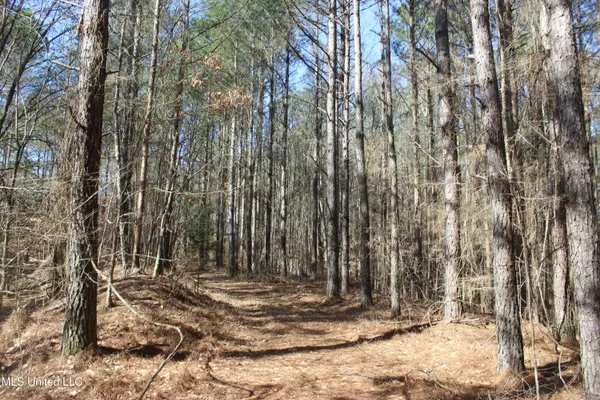 Carrollton, MS 38917,Poorhouse Rd Road