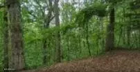Oakdale Drive, New Albany, MS 38652