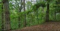 Oakdale Drive, New Albany, MS 38652
