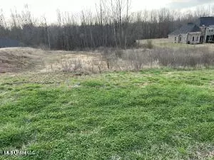 Byhalia, MS 38611,447 E Byhalia Creek Farms Road