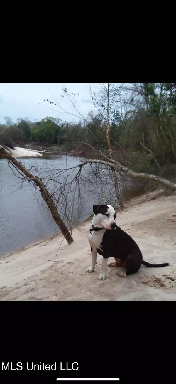 Nhn Mcdonald Rd., Pass Christian, MS 39571