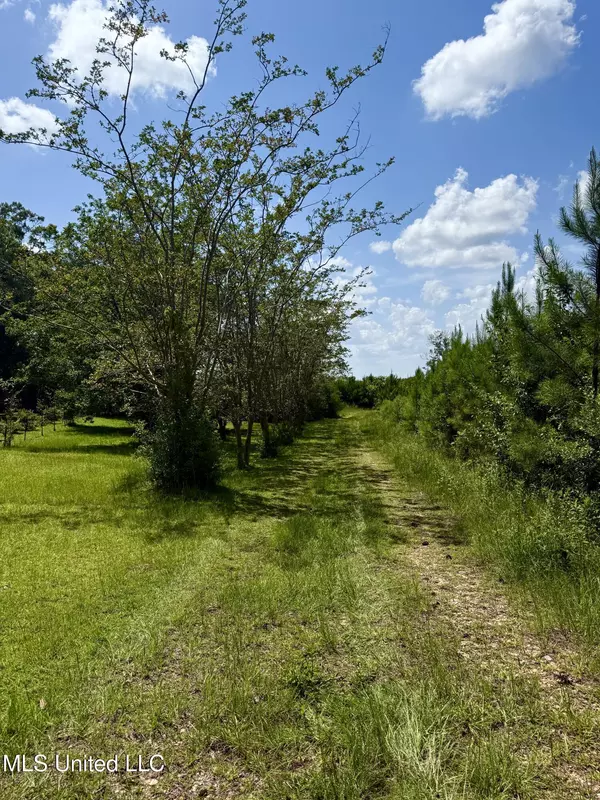 Kentwood, MS 70444,77151 N River Road