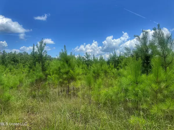 Kosciusko, MS 39090,Attala Road 5001