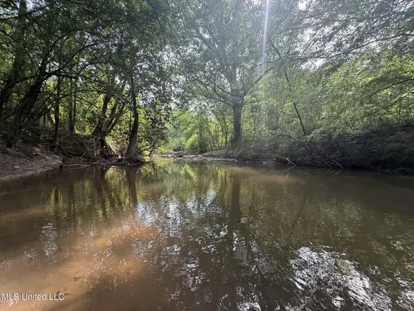 Prentiss, MS 39474,Fate Ward Road