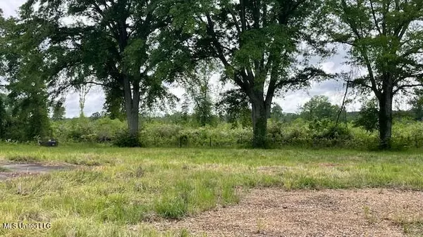 Forest, MS 39074,2742 King Road