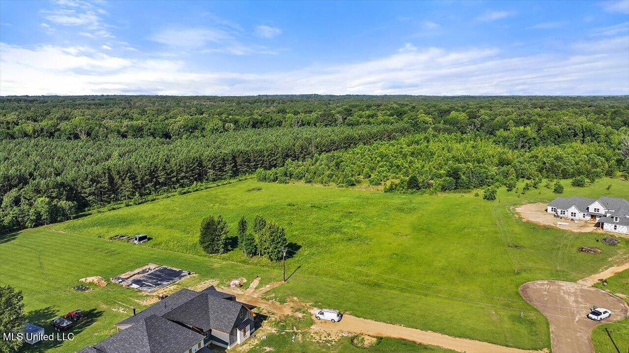 3 Southern Trce Boulevard, Clinton, MS 39056