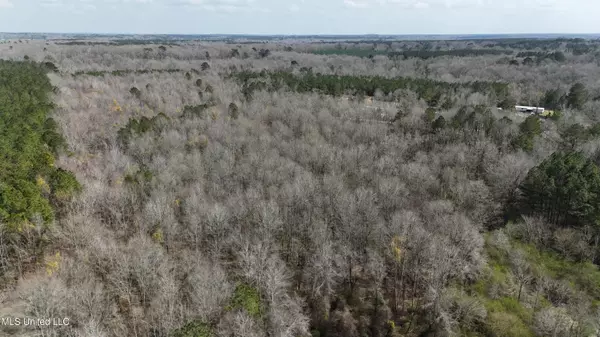 N Little River Road, Forest, MS 39074