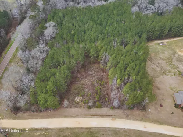 Ava Lane, Summit, MS 39666