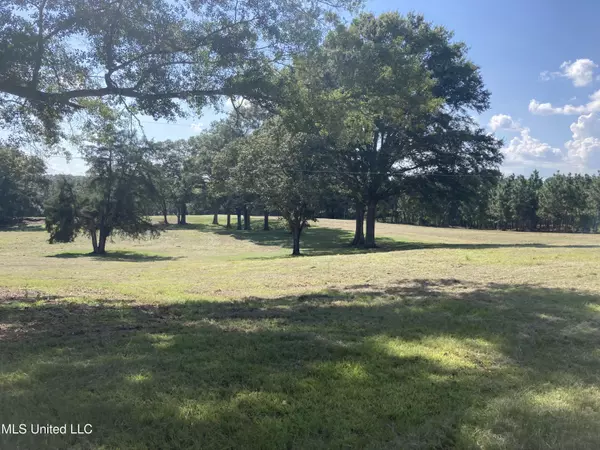 Mendenhall, MS 39114,Hwy 13