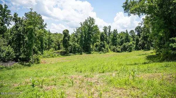 3169 Paved Road, Port Gibson, MS 39150
