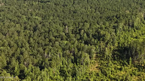 Florence, MS 39073,Levi Cooper Road