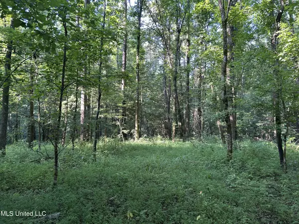 Crenshaw, MS 38621,Avant Road