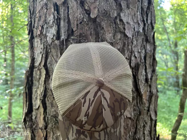 Crenshaw, MS 38621,Avant Road