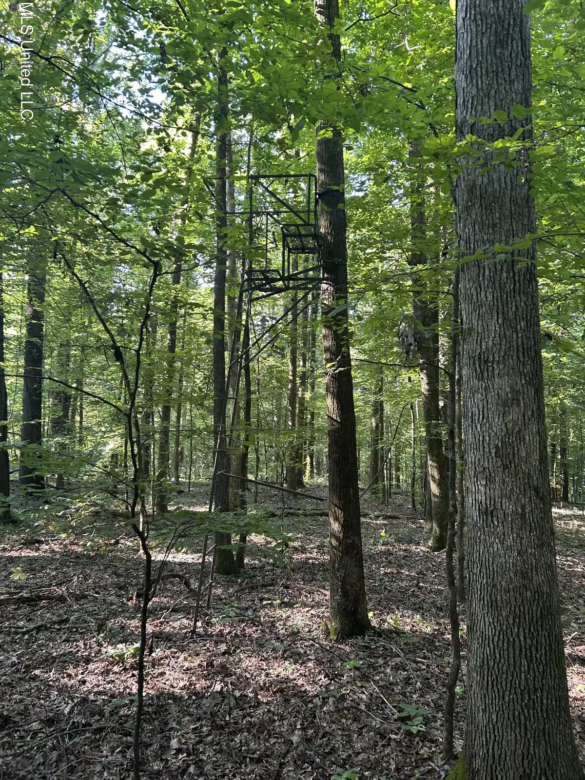 Crenshaw, MS 38621,Avant Road