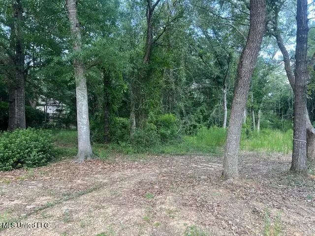 8818 Manoo Place, Diamondhead, MS 39525