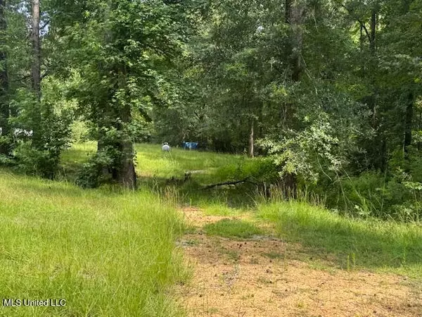 Braxton, MS 39044,148 Butler Drive