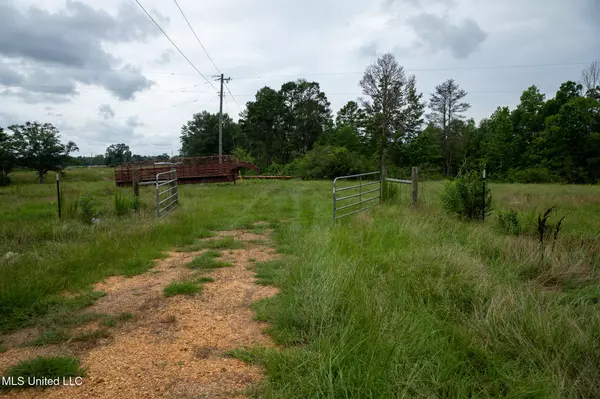 Sam Durr Road, Mount Olive, MS 39119