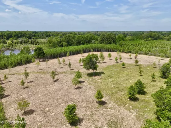 19 Windermere Boulevard, Madison, MS 39110
