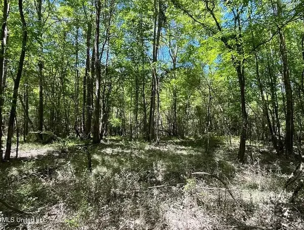 1 Kahnville Road, Gloster, MS 39638