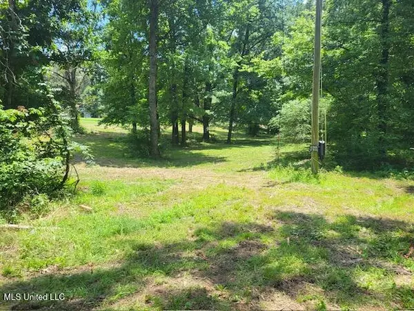 Lake Cormorant, MS 38641,0 Mcgowen Road