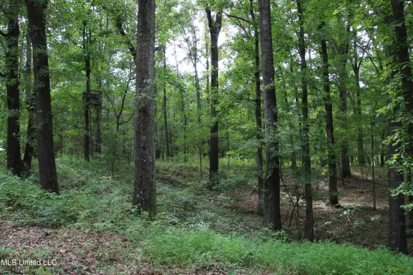 Bentonia, MS 39040,Campbell Road