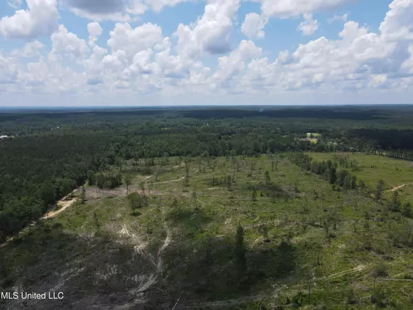 Braxton, MS 39044,Henry Cannon Road