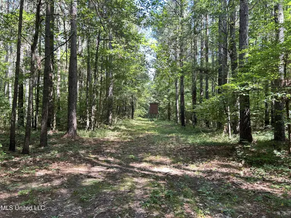Shell Oil Road, Brandon, MS 39042