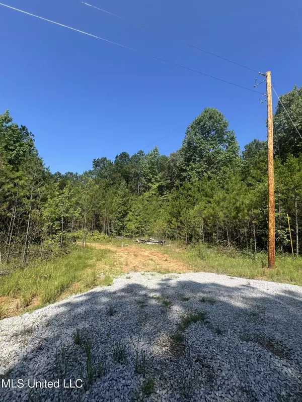 1141 County Road 172,  Blue Springs,  MS 38828