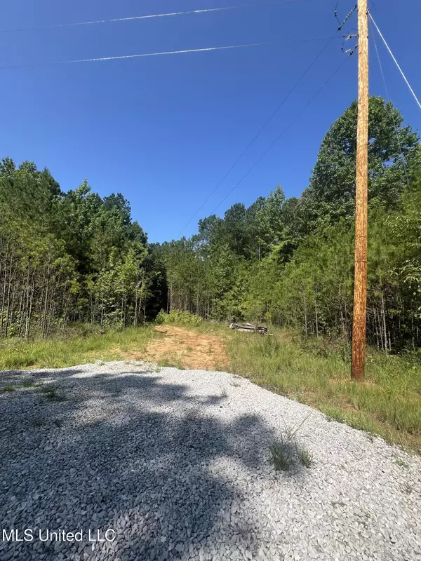 Blue Springs, MS 38828,1141 County Road 172