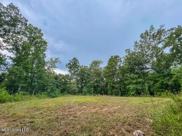 0 Hurricane Road, Utica, MS 39175