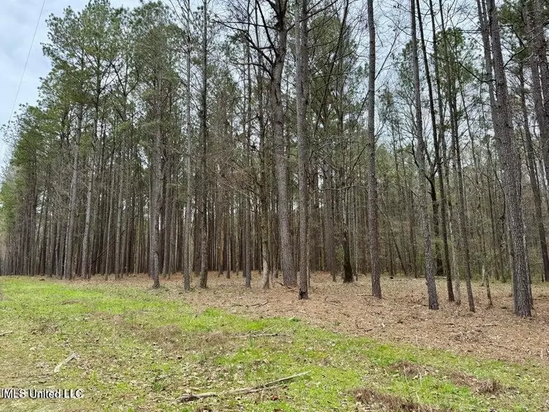 1 Robinson Road, Canton, MS 39046