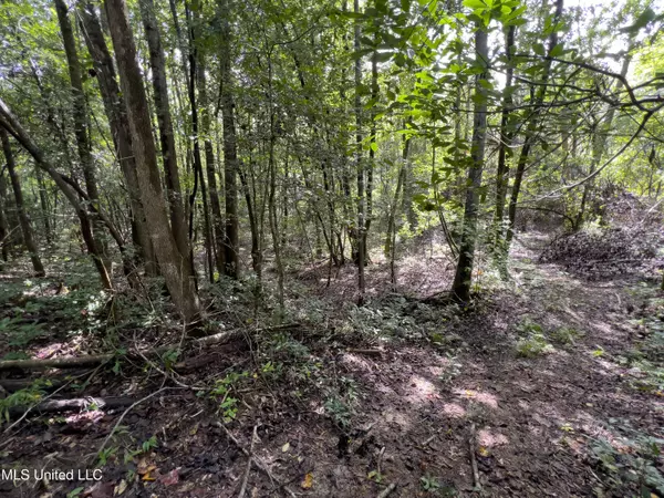 Poplarville, MS 39470,24 Nelson Road